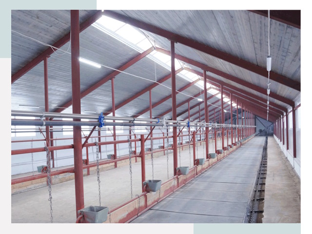 Строительство коровников в Бугуруслане от 611 руб.