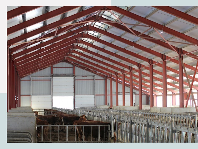 Строительство коровников в Бугуруслане