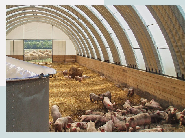 Строительство свинарников в Бугуруслане