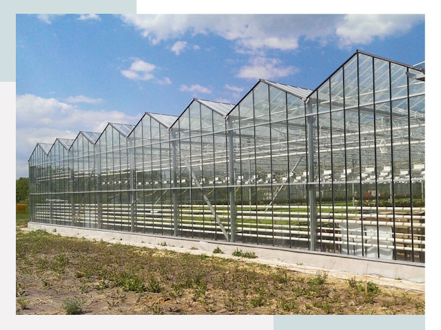Строительство теплиц в Бугуруслан от 611 руб. за м²