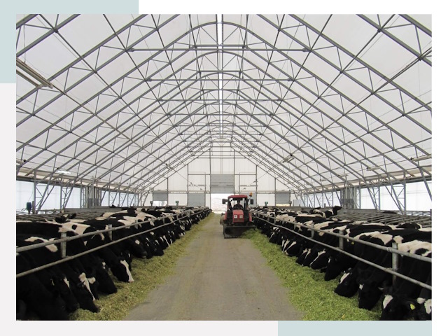 Тентовые коровники в Бугуруслане от 611 руб. - Надежно и доступно