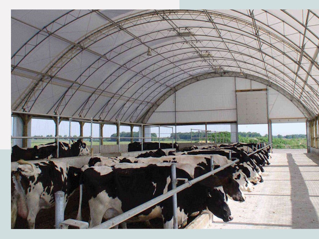 Тентовые коровники в Бугуруслане